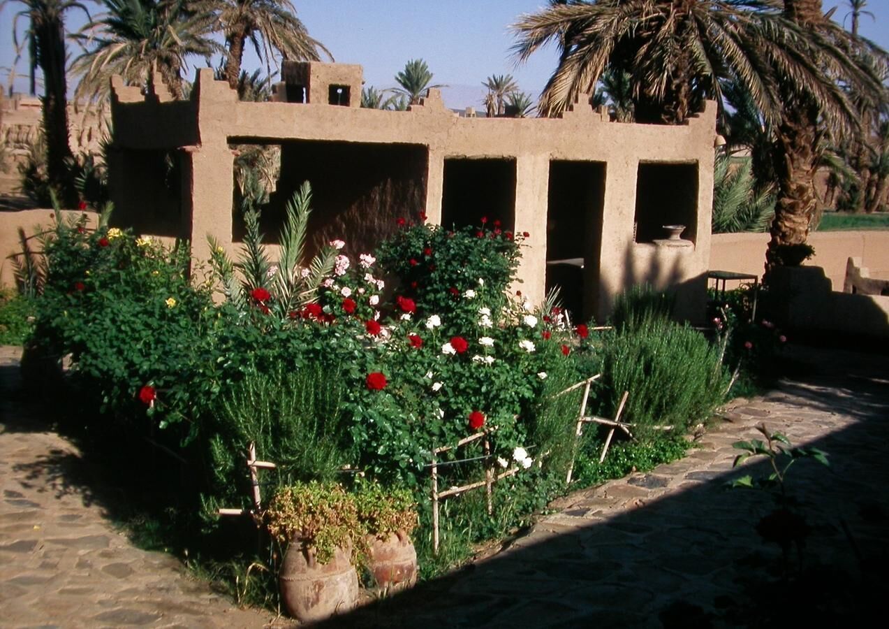 المنطقة المحيطة بالمنشأة