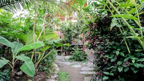 A lush garden with a stone pathway leading to a wooden structure. - Lorong Homestay (Kasihan)