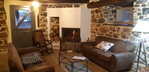 TV, fireplace, DVD player, books