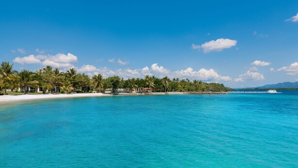 Une plage avec une eau turquoise et limpide, des palmiers et un bateau à l’horizon.