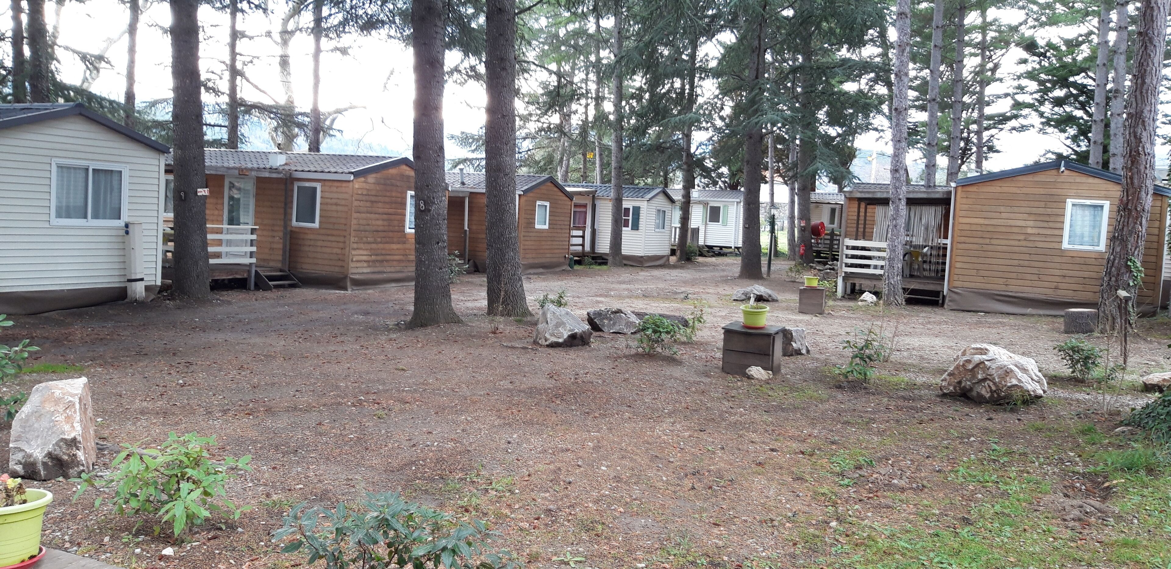 A row of wooden cabins in a forested area with a dirt ground, surrounded by trees.