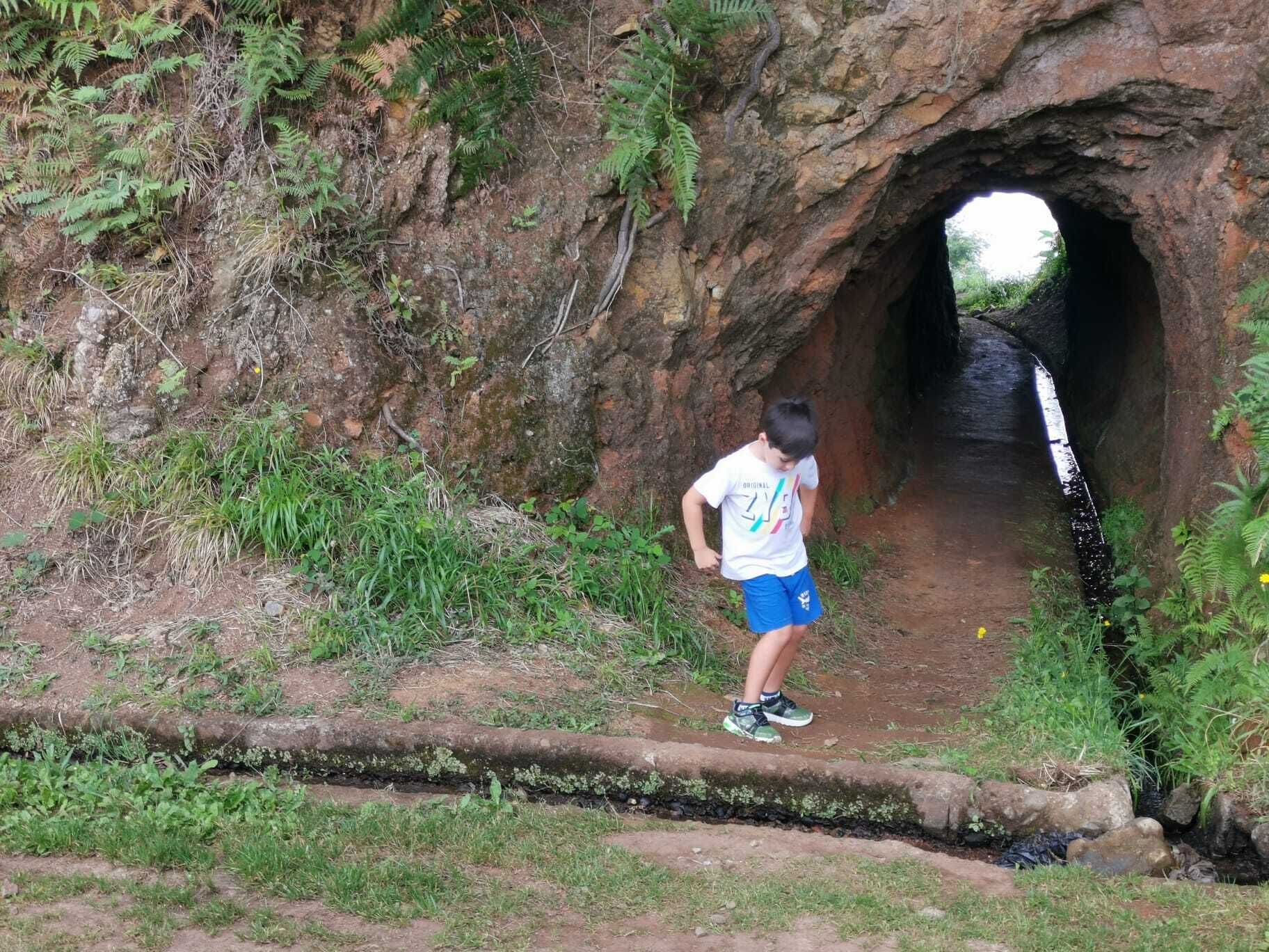 Foto - Santana in Nature Bed & Breakfast