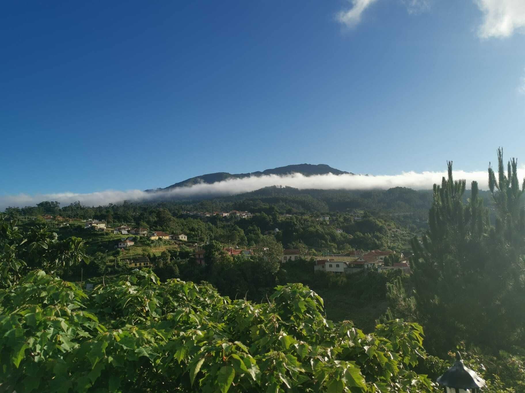 Foto - Santana in Nature Bed & Breakfast