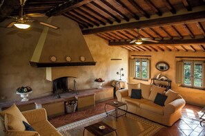 TV, fireplace, books - Pasqui Villas: Il Tribbio private villa 1km to a village pool,view ,WiFi (San Giovanni d'Asso-Montalcino)