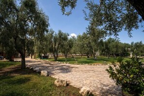 Property grounds - Orchid Lodge 2 in San Matteo Club (Mattinata)