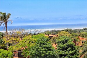 Un paisaje costero con vista al océano, palmeras y edificios con tejados rojos.