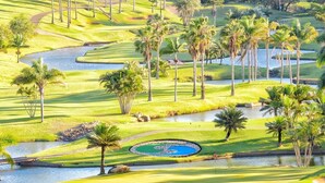 A golf course with water hazards, palm trees, and a bridge.