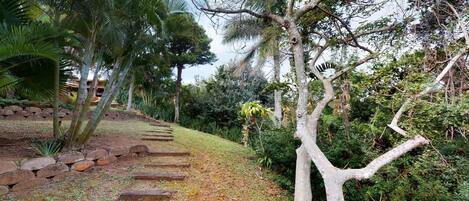 A garden pathway with stone steps leading through lush greenery and trees.