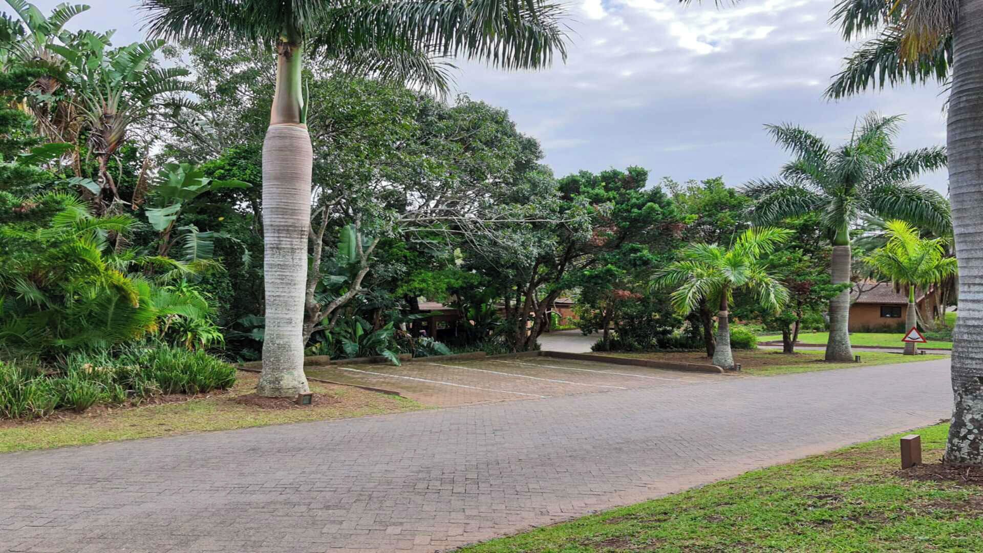 Un camino pavimentado que conduce a un edificio rodeado de abundante vegetación y palmeras.