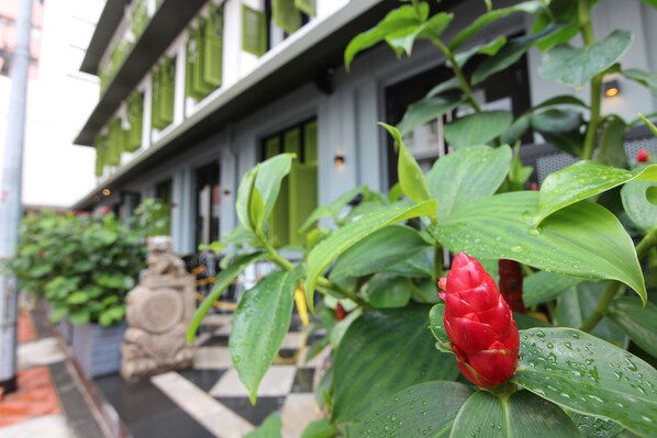 A building with green shutters and a red flower in the foreground.
