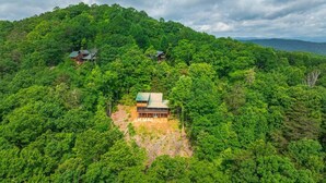 A remote cabin surrounded by dense forest, with a clear view of the surrounding landscape. - Majestic Sunrise- Pet Friendly | Screened Porch | Hot Tub (Blue Ridge)