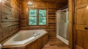 Combined shower/bathtub, jetted bath, hair dryer, towels
