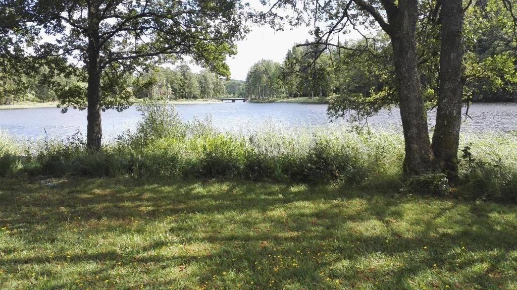 Une vue paisible sur un lac, avec des arbres et un pont au loin.