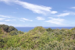 A coastal landscape with dense vegetation and a clear view of the ocean. - Breakers Resort by Top Destinations (Umhlanga)