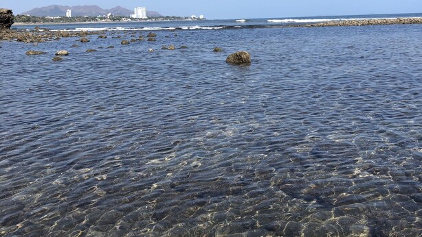A coastal view with clear shallow waters, rocky shore, and distant buildings. - Beach house in Panama city Punta Barco Viejo (Panamá)