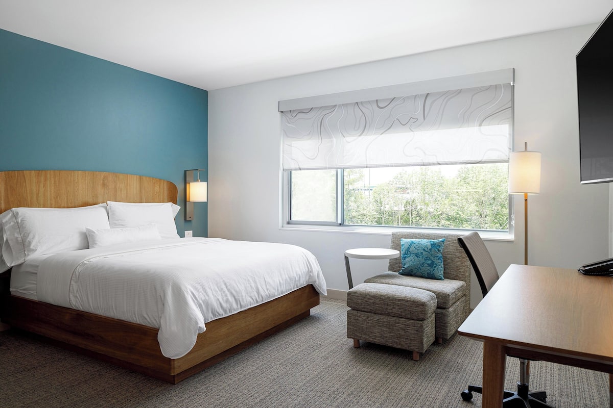 Studio, 1 King Bed with Sofa bed | 1 bedroom, premium bedding, down comforters, pillowtop beds