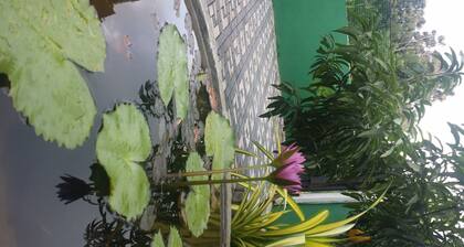 Indunil homestay hirikatiya