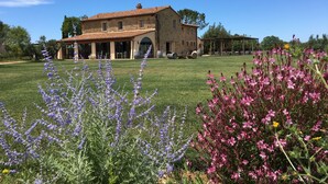 A stone building with a tiled roof, a covered patio, and a grassy lawn with purple and pink flowers. - Locanda dell'Aioncino (Bibbona)