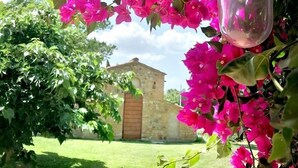 A garden with vibrant pink bougainvillea flowers, a rustic stone building, and a clear sky. - Locanda dell'Aioncino (Bibbona)