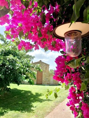 Garden - Locanda dell'Aioncino (Bibbona)