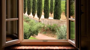 A window with an open view of a row of tall, slender trees in a garden. - Locanda dell'Aioncino (Bibbona)