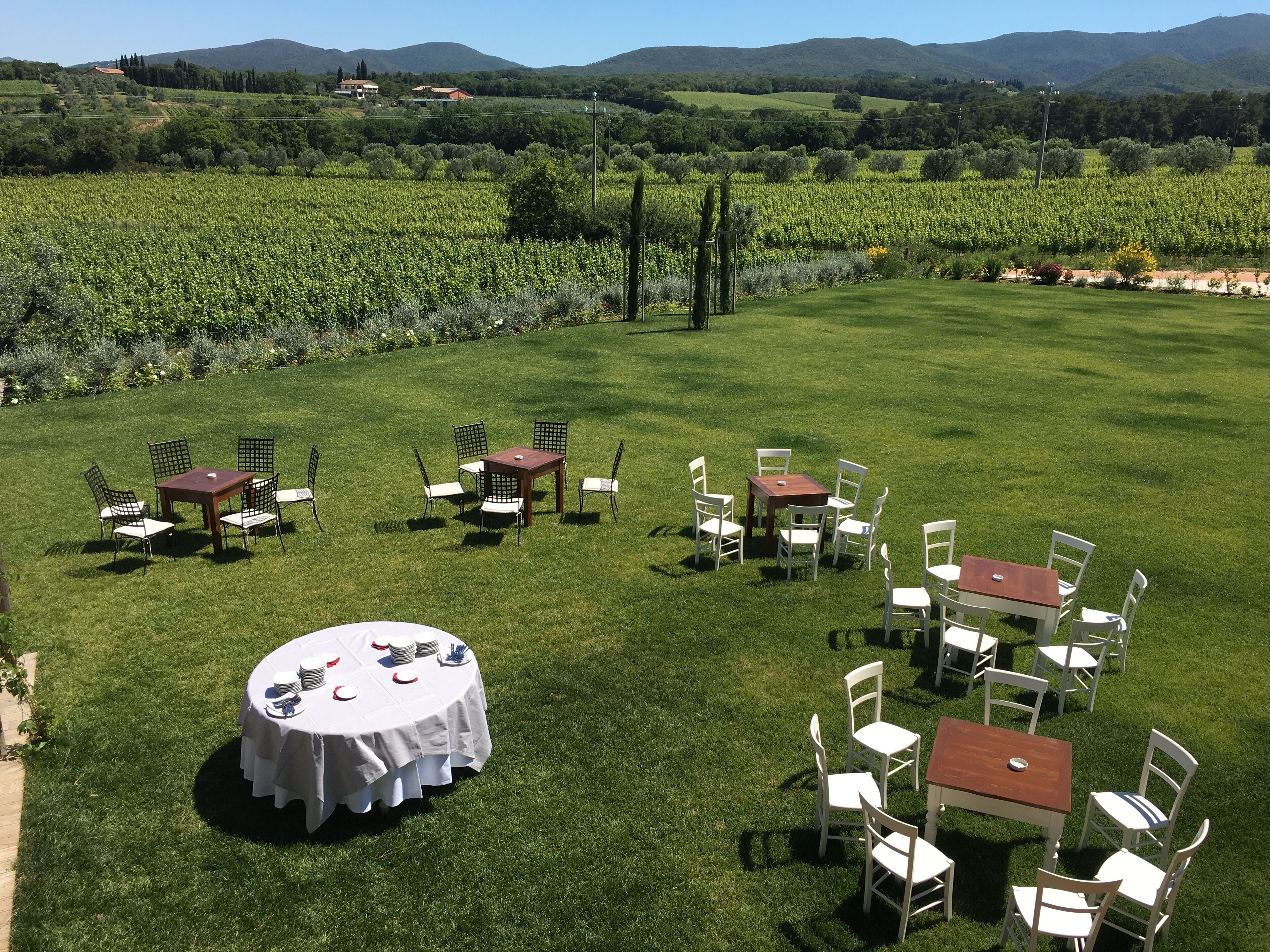 Un área de comedor al aire libre con varias mesas y sillas, rodeada de un césped verde exuberante y viñedos al fondo.