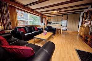 Fernseher, Kamin, DVD-Player