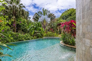 Pool - Nature Retreat: Infinity Pool + Concierge (Manuel Antonio)