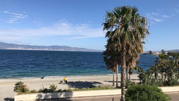 A coastal view with a beach, palm trees, and a clear blue sky. - B&B Main Street (Reggio Calabria)