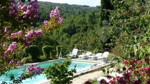 A pool area with lounge chairs and a view of a forested hillside. - Charming accommodation in a large 16th century building with swimming pool and garden (Vesseaux)