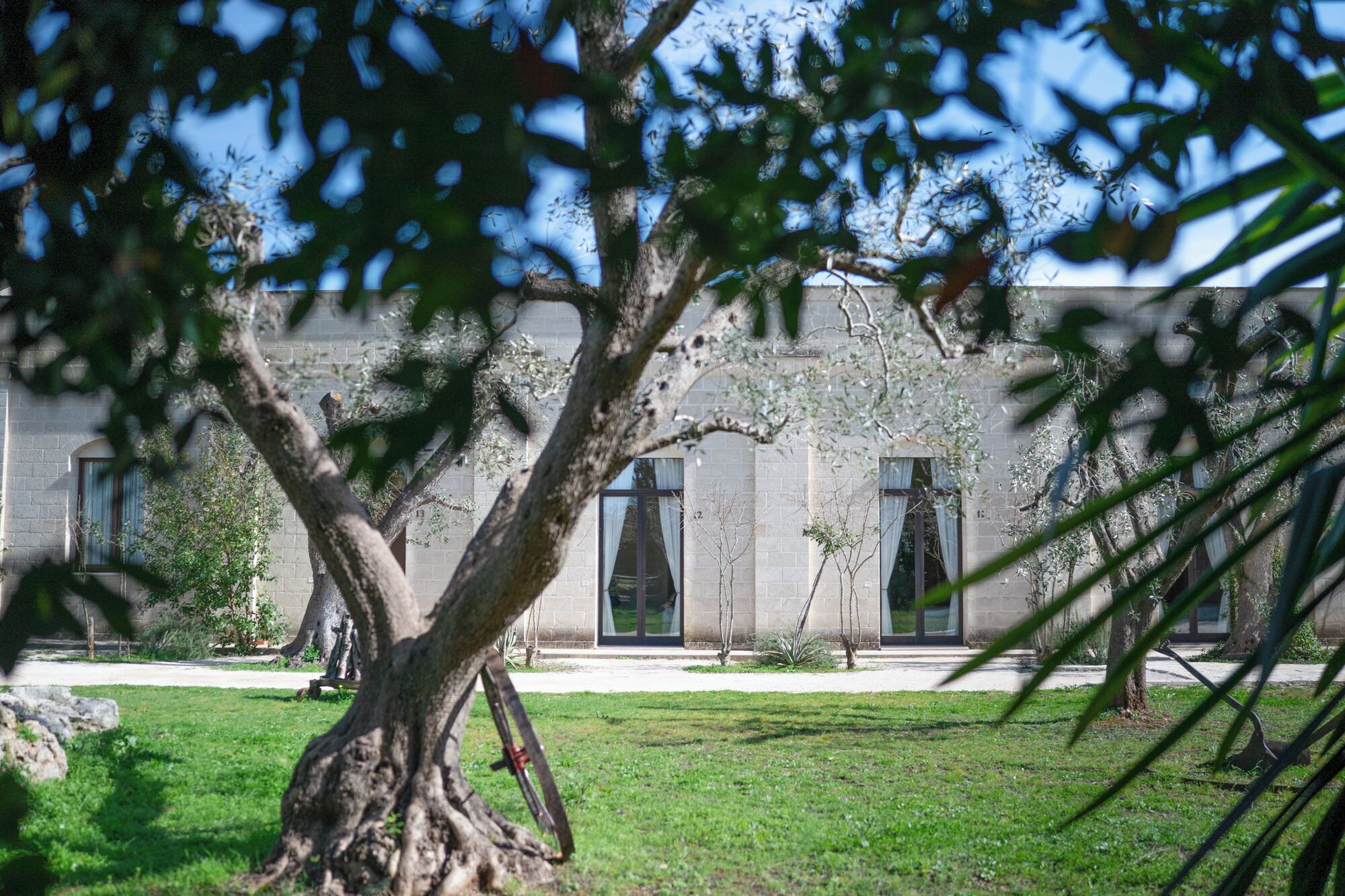 A building with a brick facade, large windows, and a tree in the foreground.