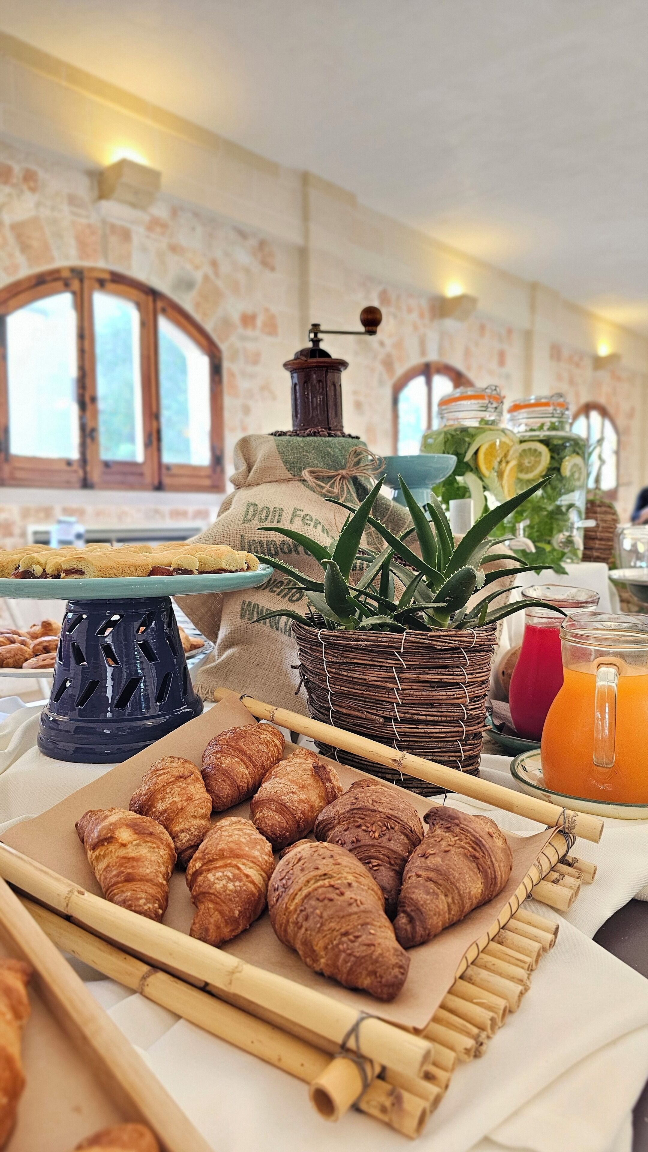 Un buffet de petit-déjeuner avec des croissants, un moulin à café et un aloe vera en pot.