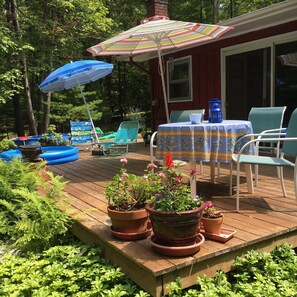 Back deck overlooking gardens and forest in summer 