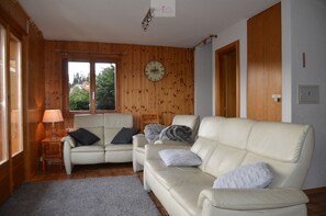 Tv, eldstad och dvd-spelare