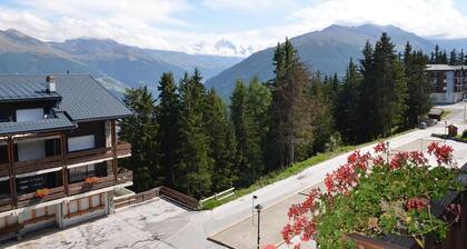 Nice studio for rent in les Collons