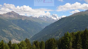 A mountainous landscape with a valley and forested areas.