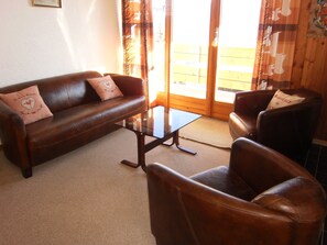 Télévision, cheminée, lecteur de DVD