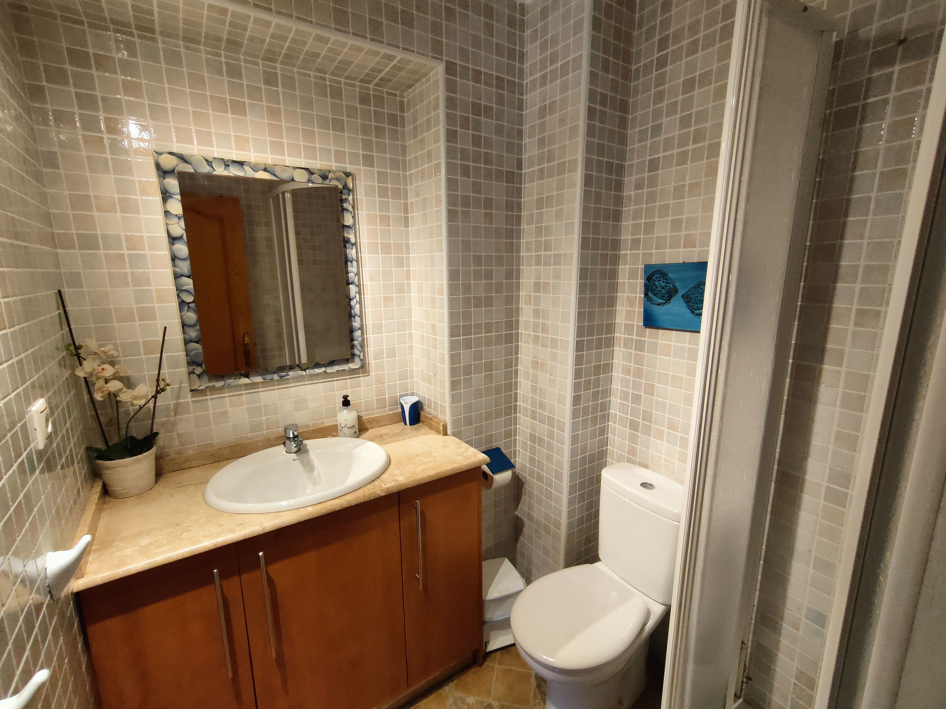 Maite apartment. Guardamar del Segura