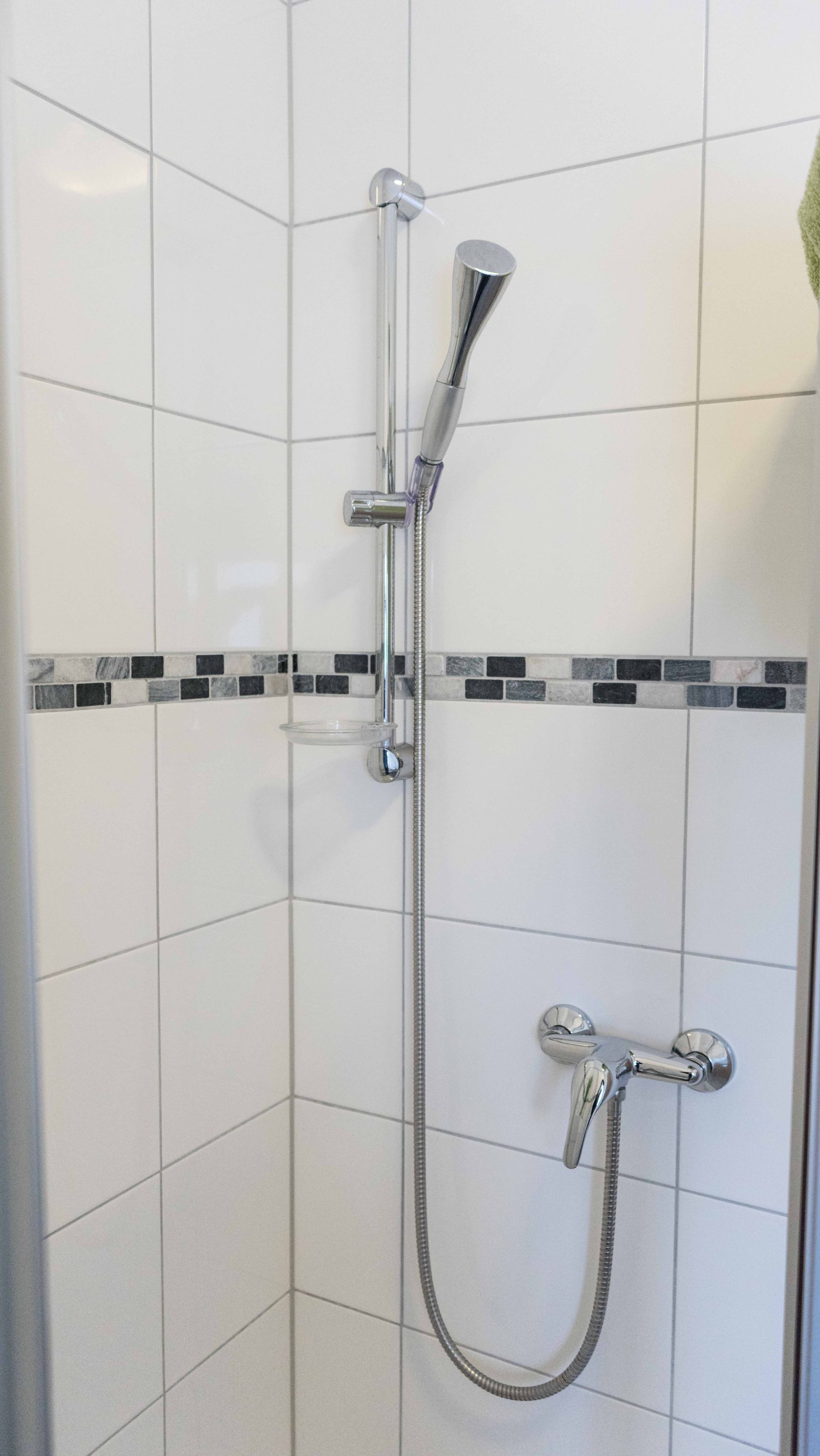 Apartment | Dusche im Bad
