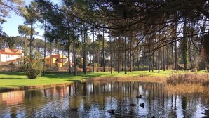 Un étang où nagent des canards, entouré d’arbres et bordé d’un terrain de golf.