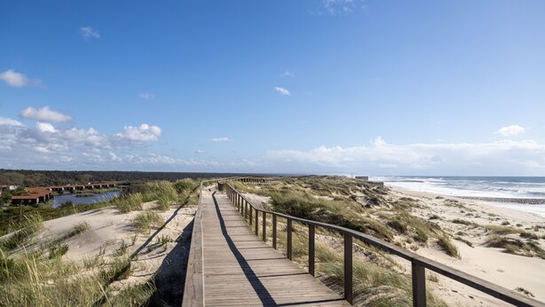 Une promenade en bois qui mène à une plage bordée de dunes, sous un ciel dégagé.