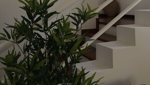 Un escalier avec des rampes blanches et une plante au premier plan.