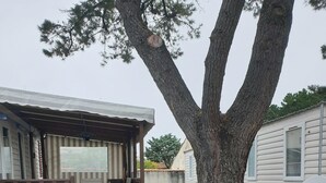 Une terrasse en bois avec un espace salon couvert, des plantes en pot et un grand arbre.