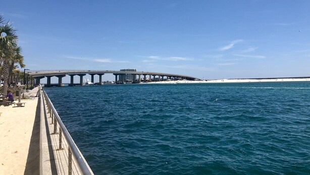 Een kustbrug met een zandstrand en palmbomen.