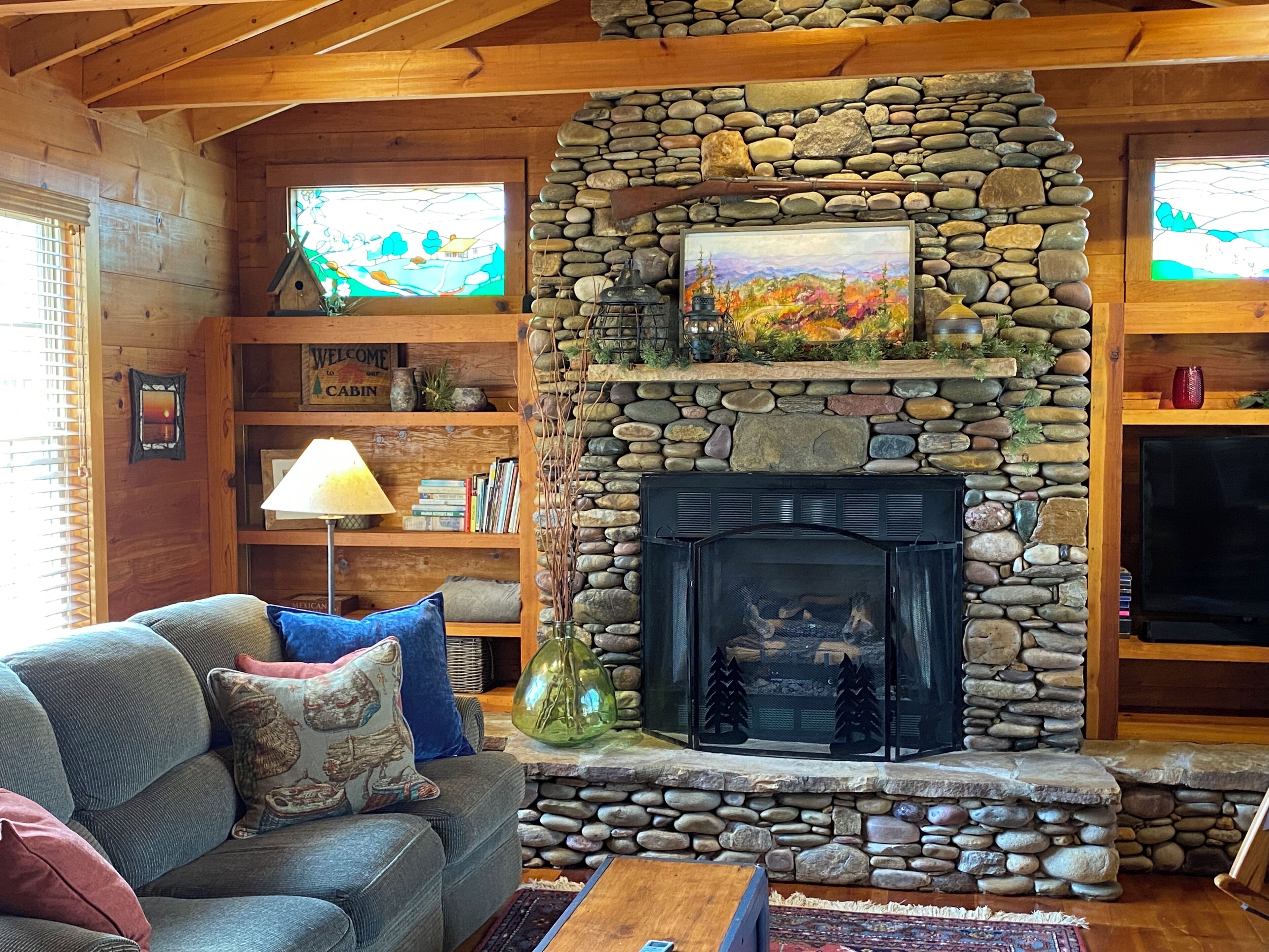 Smart TV, chimenea, reproductor de DVD, libros