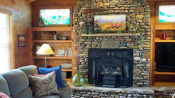 Smart TV, chimenea, reproductor de DVD, libros
