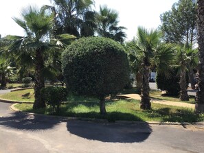 Terrein van de accommodatie