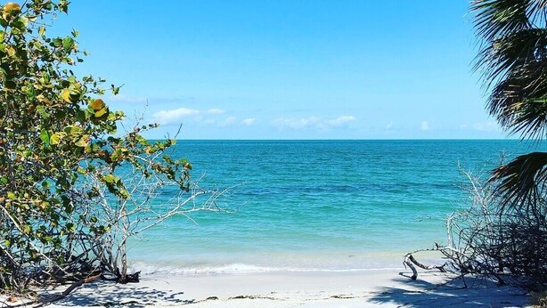Een strand met helder turquoise water, wit zand en wat begroeiing.