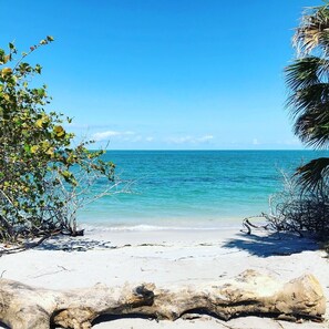 A beach with clear turquoise water, white sand, and some vegetation.