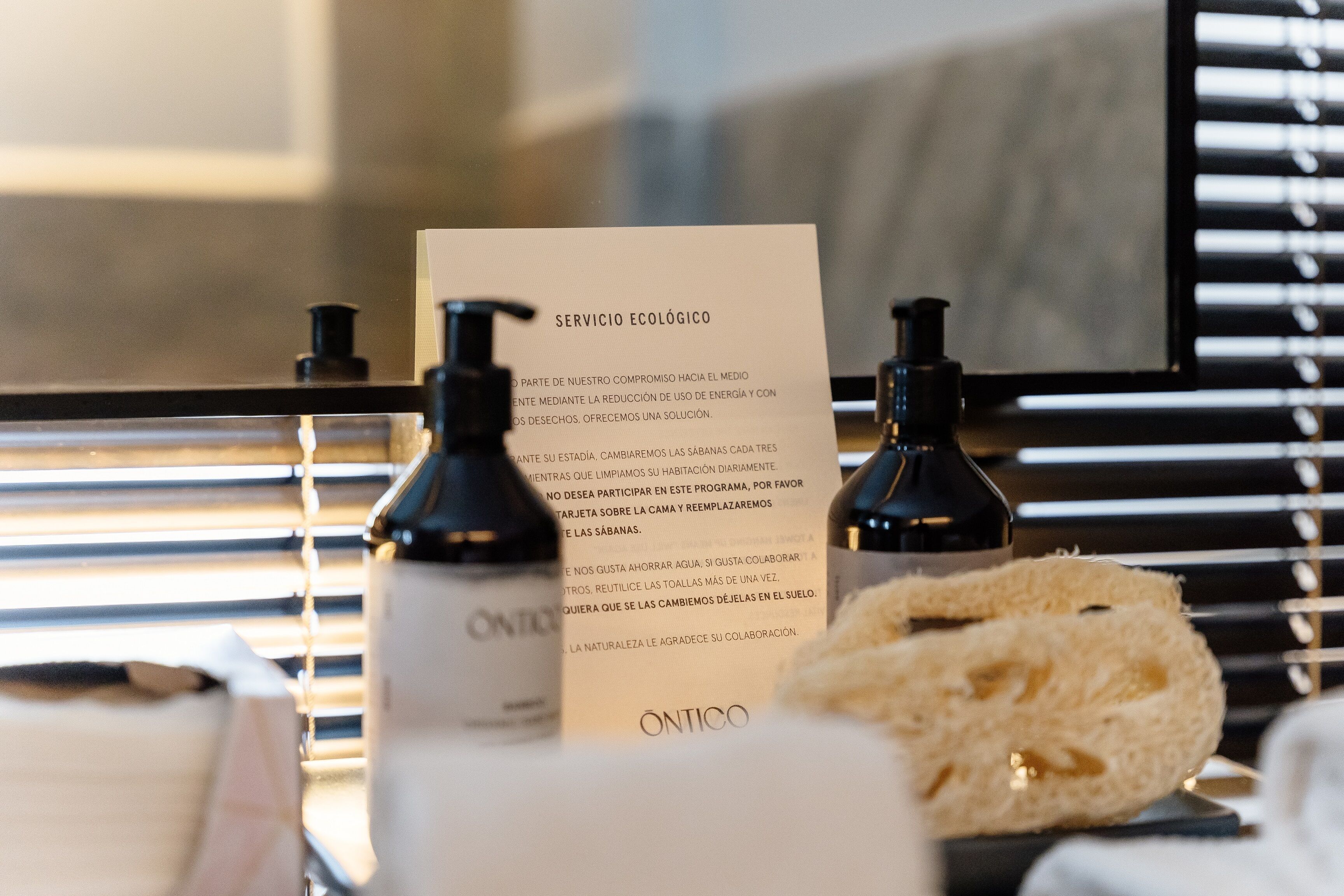 shower, rainfall showerhead, free toiletries, hair dryer